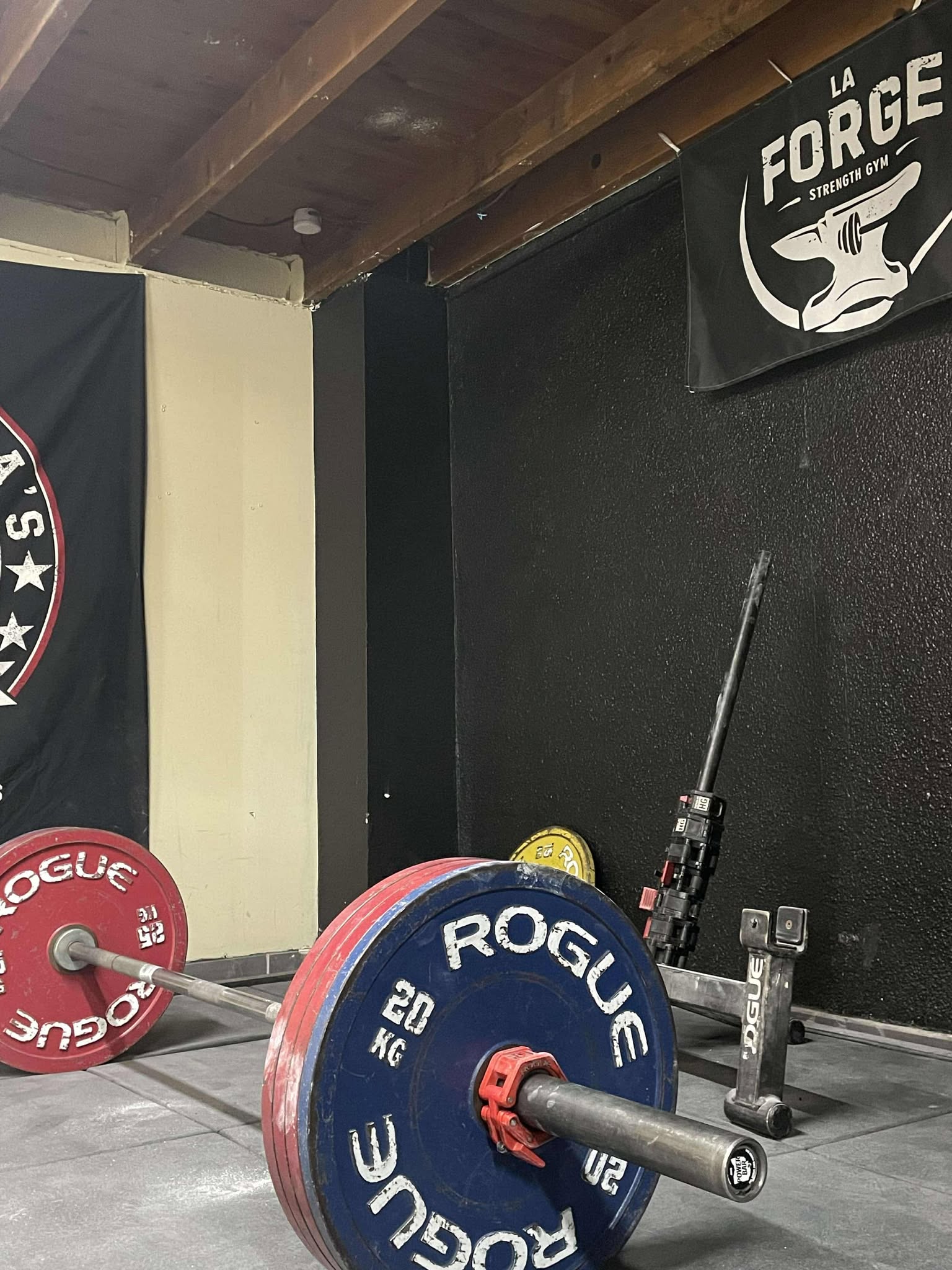 Barbell Rogue et bumpers La Forge Montpellier