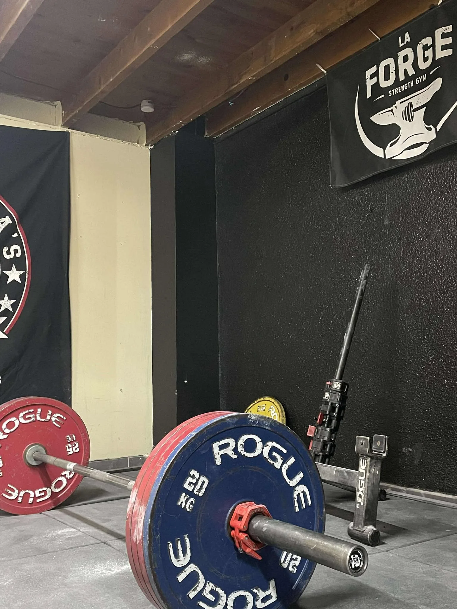 Barbell Rogue et bumpers La Forge Montpellier